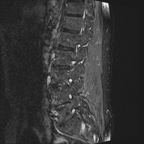 3c8868d0-96ae-4488-92fb-a4b52a0b97db