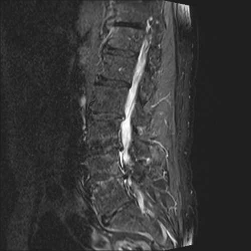 14963149-df83-40b6-b13a-101e04a6a98c