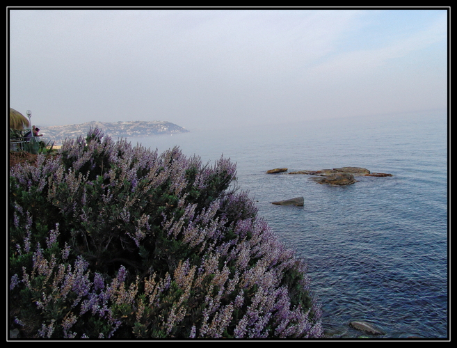 DSC05470 San Remo 0136