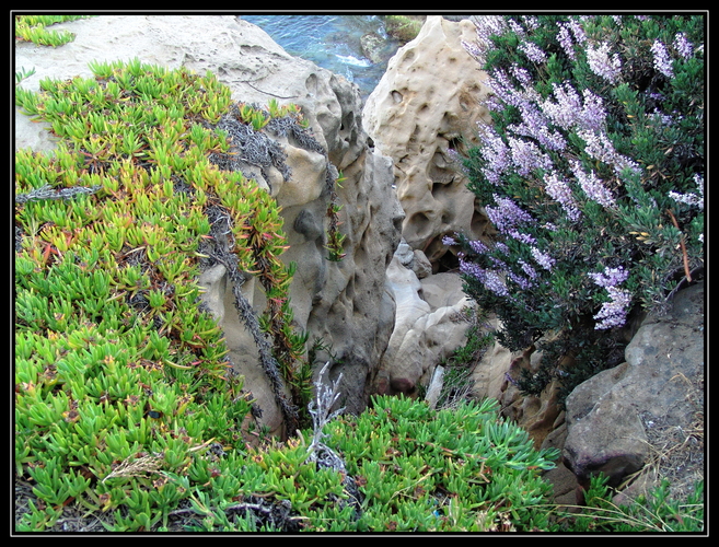 DSC05470 San Remo 0138