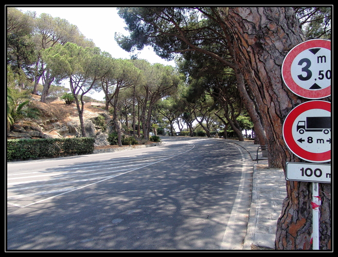 DSC05470 San Remo 0087