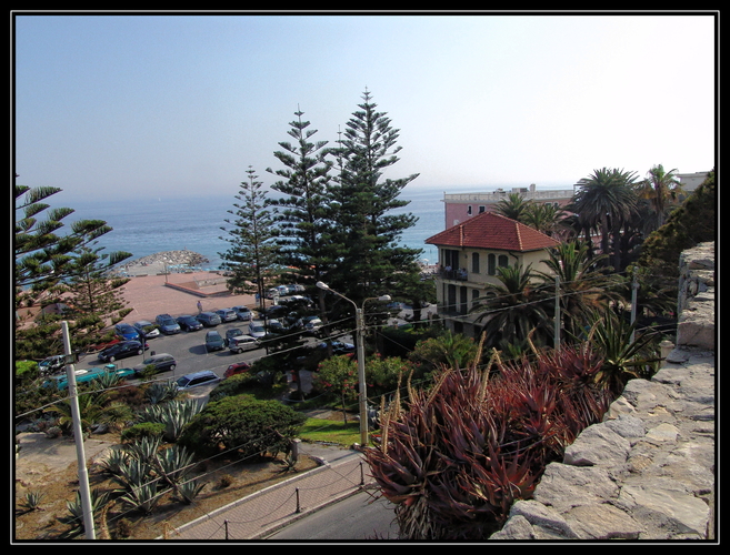 DSC05470 San Remo 0113