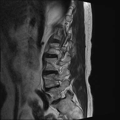 47b42e03-7993-4eab-9eea-beba3a9de981