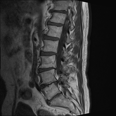 49d84bda-dda2-4dc7-a1ac-15a9ee68b5e3