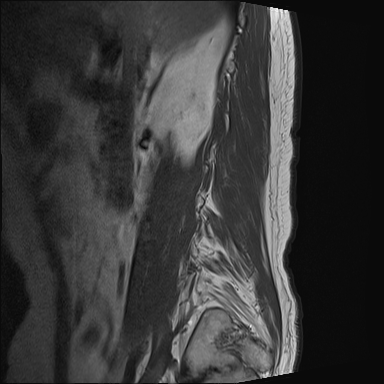 99ec9731-7cf2-4230-8af6-0be9eeb46576