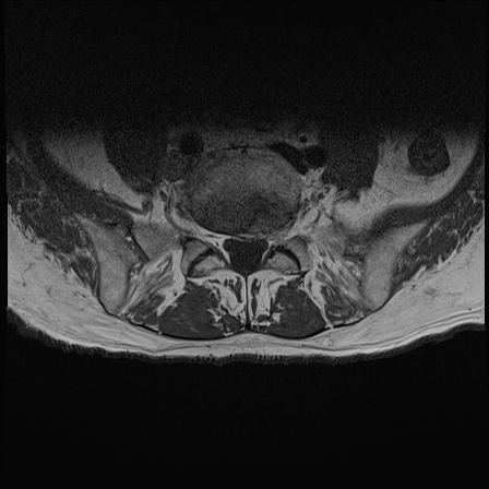 2985ed69-832d-48e5-9905-d4875875d243