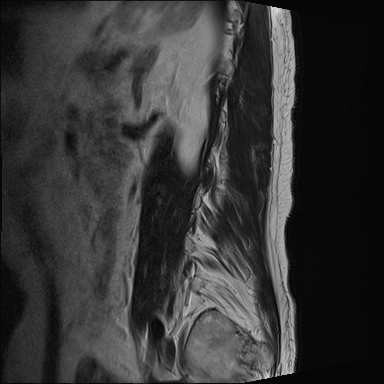 b5c88b85-eb46-48f7-9fd0-e3dc4bd99ece